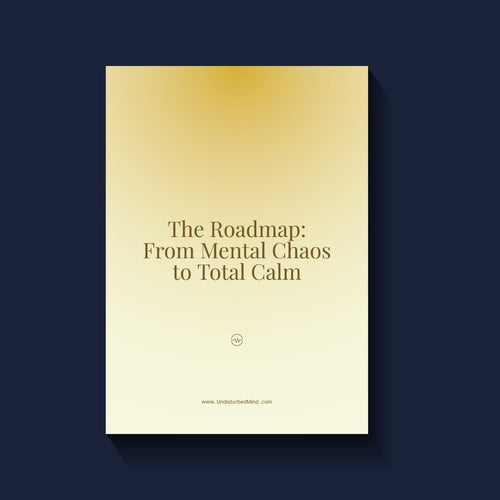The Undisturbed Mind System digital download for work-life balance